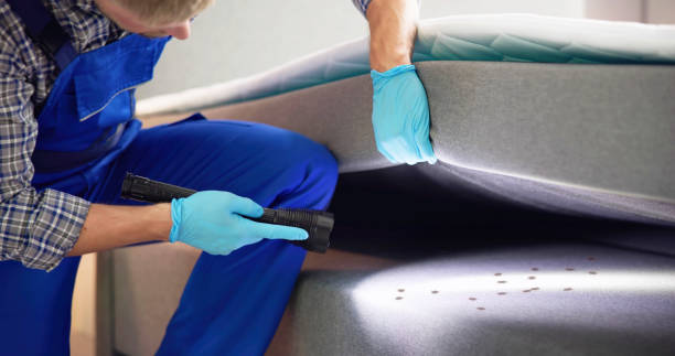 Best Commercial Pest Control Services  in Lewisport, KY