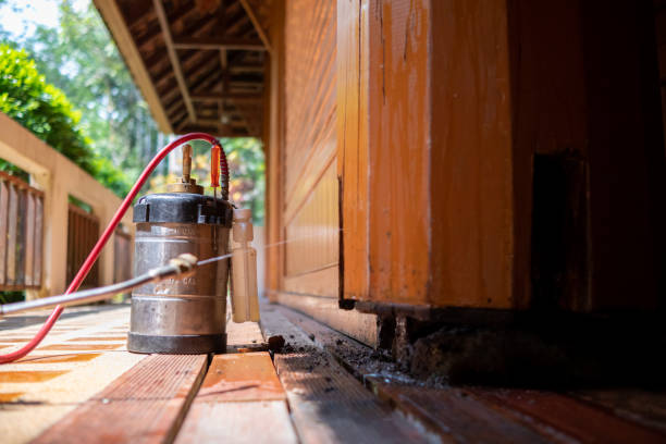 Pest Control Cost in Lewisport, KY