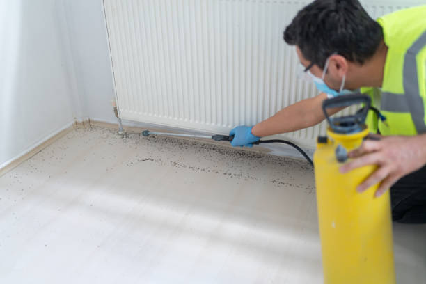 Best Pest Control for Restaurants  in Lewisport, KY