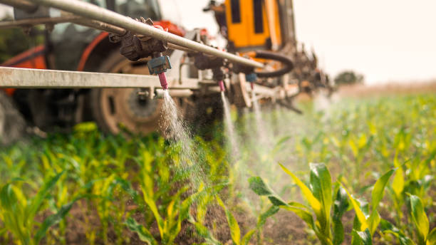 Best Best Pest Control Companies  in Lewisport, KY